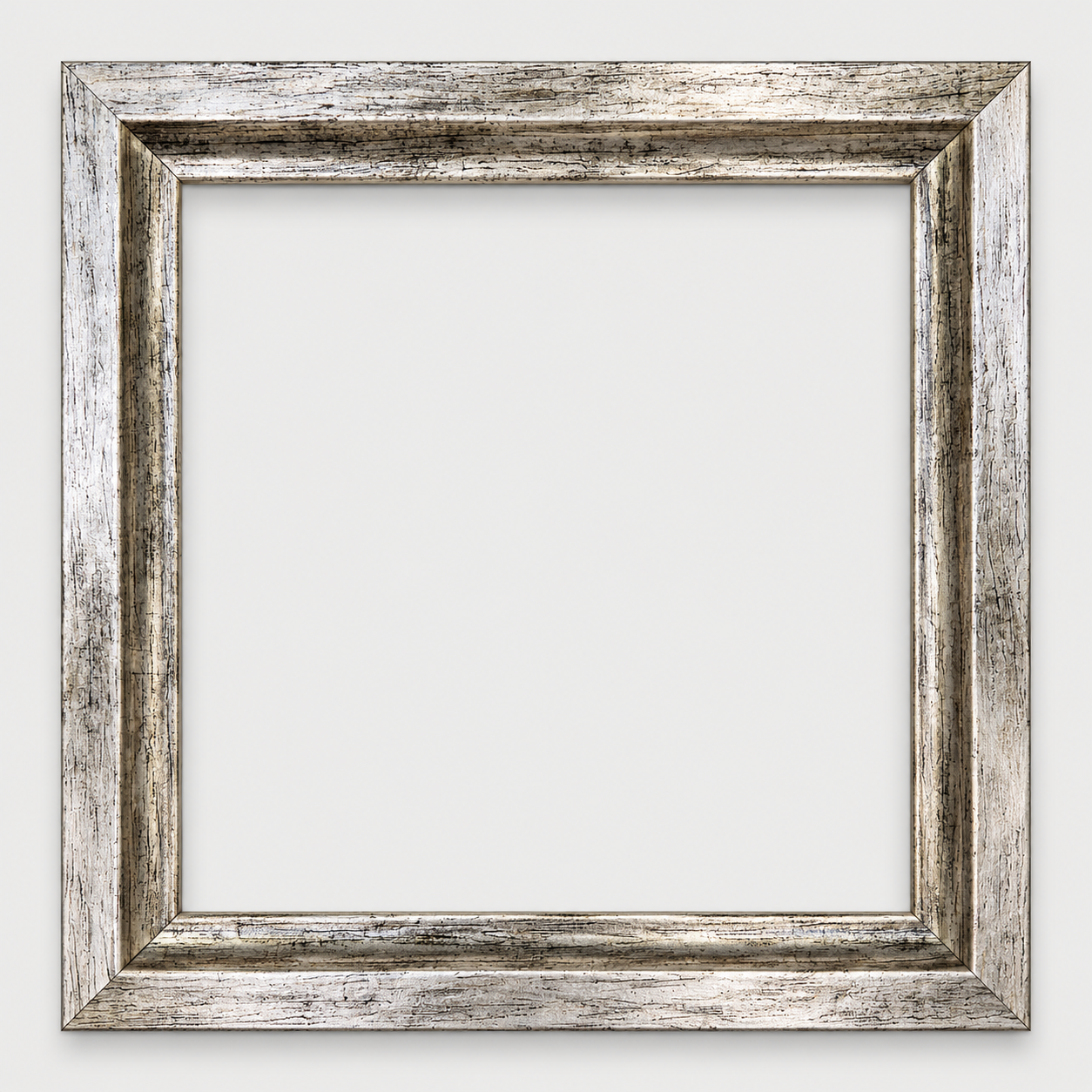 E20 · Folia plata